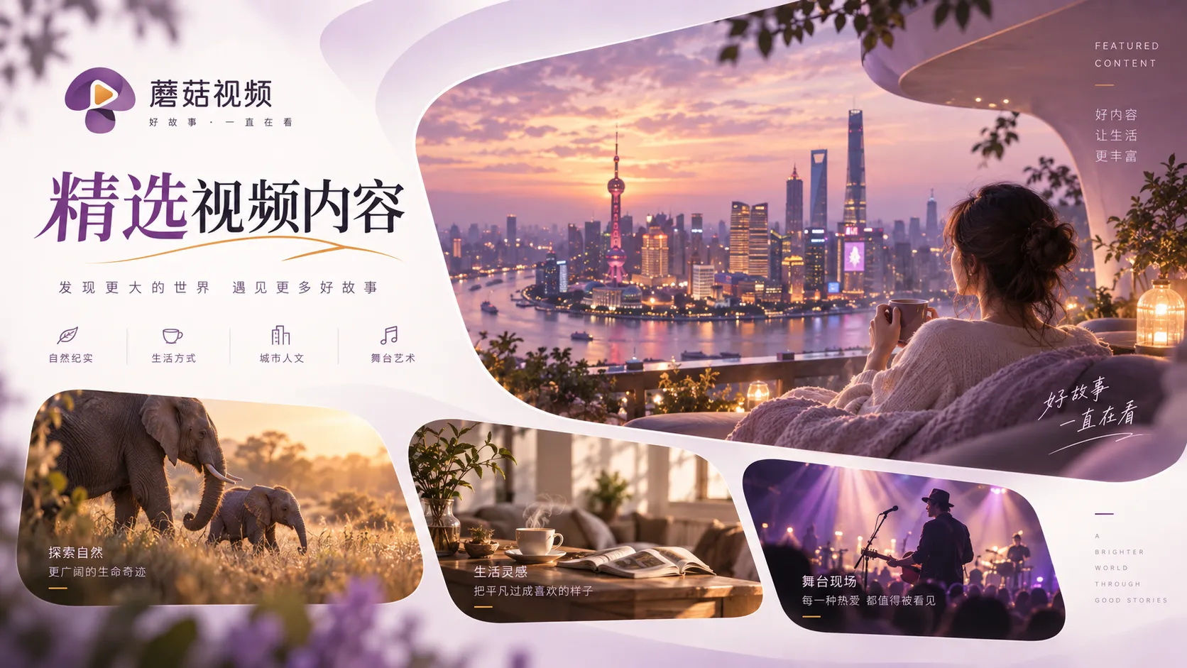 蘑菇视频影视片单编辑整理